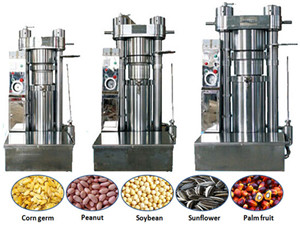 machine de traitement d'huile de graines de légumes d'acier inoxydable | fabricant professionnel de presse à huile comestible